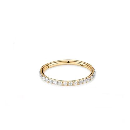 Piercing Segment Titanio Dourado com Strass