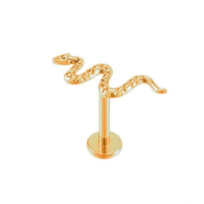 Piercing Titanio Cobra Dourado