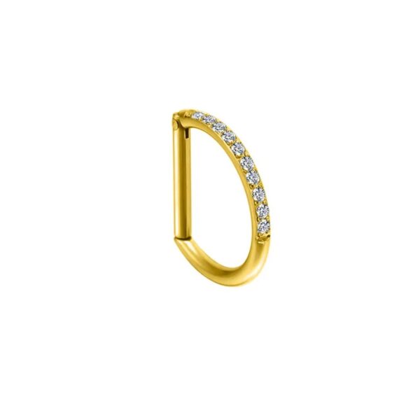 piercing d ring titanio dourado zirconias segment